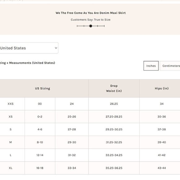 #83 NWT Free People Come As You Are Denim Maxi Skirt in Wisp - Picture 4 of 6